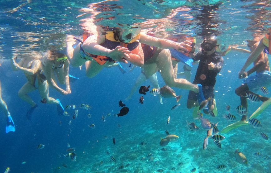 Lombok Private Snorkeling Tour to a Secret Island