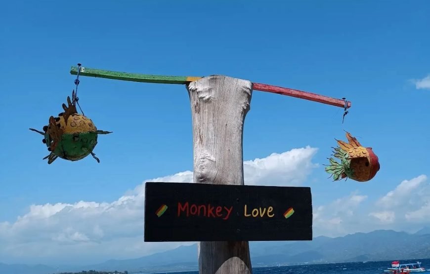 Private Snorkeling Trip to The Three Famous Gilis (Trawangan, Meno & Air)