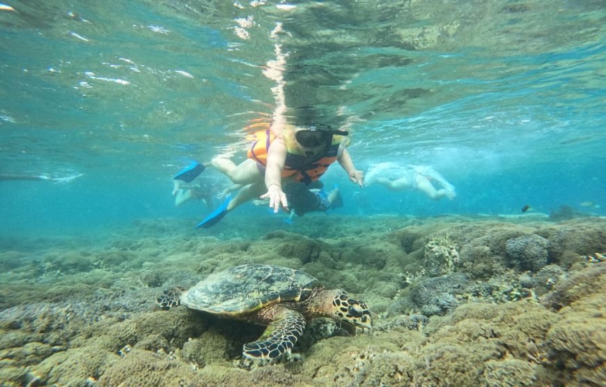 Private Snorkeling Trip to The Hidden Gilis