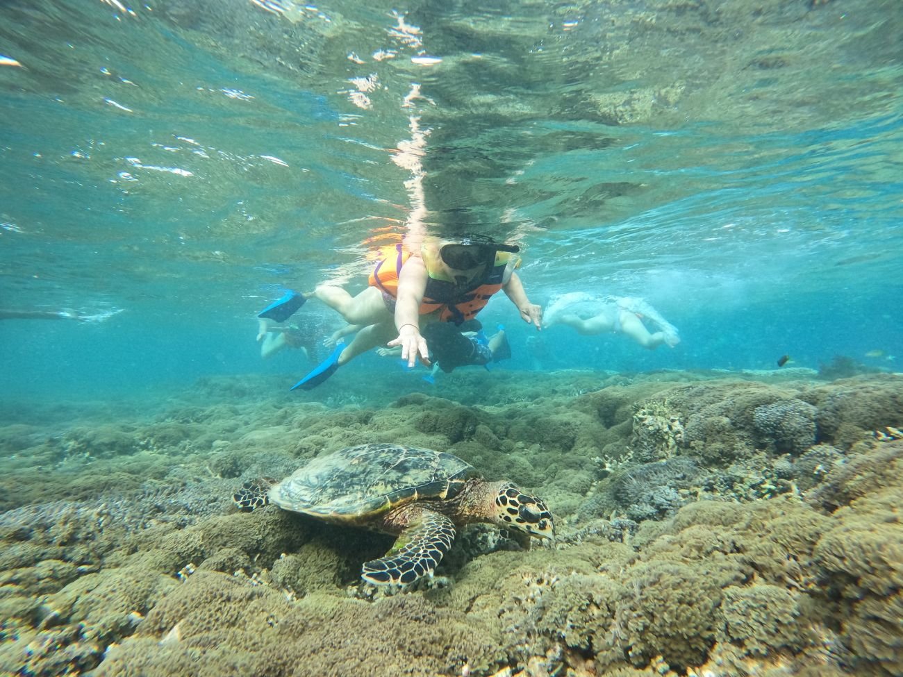 Gili Layar, Gili Rengit and Gili Gede