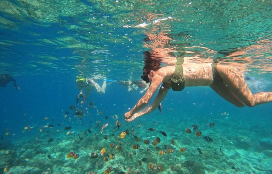 Private Snorkeling Trip to The Hidden Gilis
