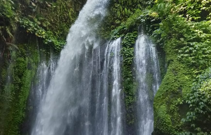 Lombok Car Hire With Driver Customizable Tour