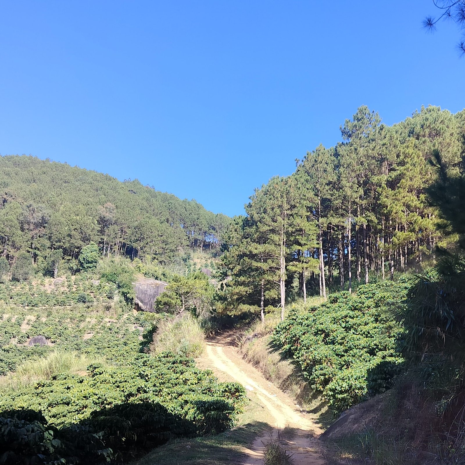 Day 4:  Full Day Discovery Da Lat City