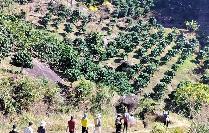 5 Days Authentic Dalat Coffee Farm & Hiking Experience