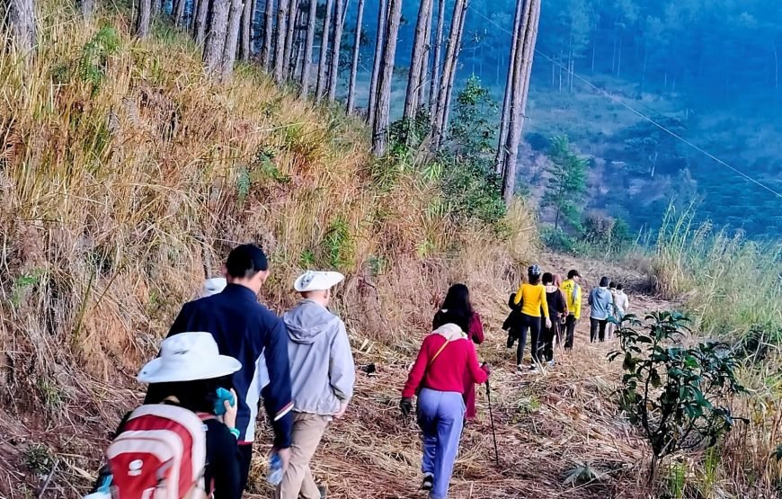 5 Days Authentic Dalat Coffee Farm & Hiking Experience
