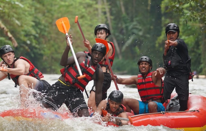 Ubud Full Day All Inclusive Package