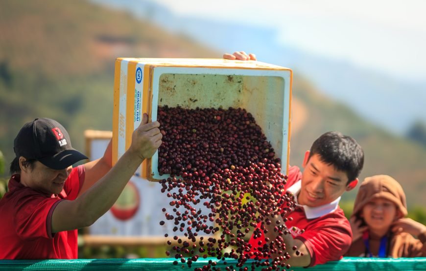 5 Days Authentic Dalat Coffee Farm & Hiking Experience