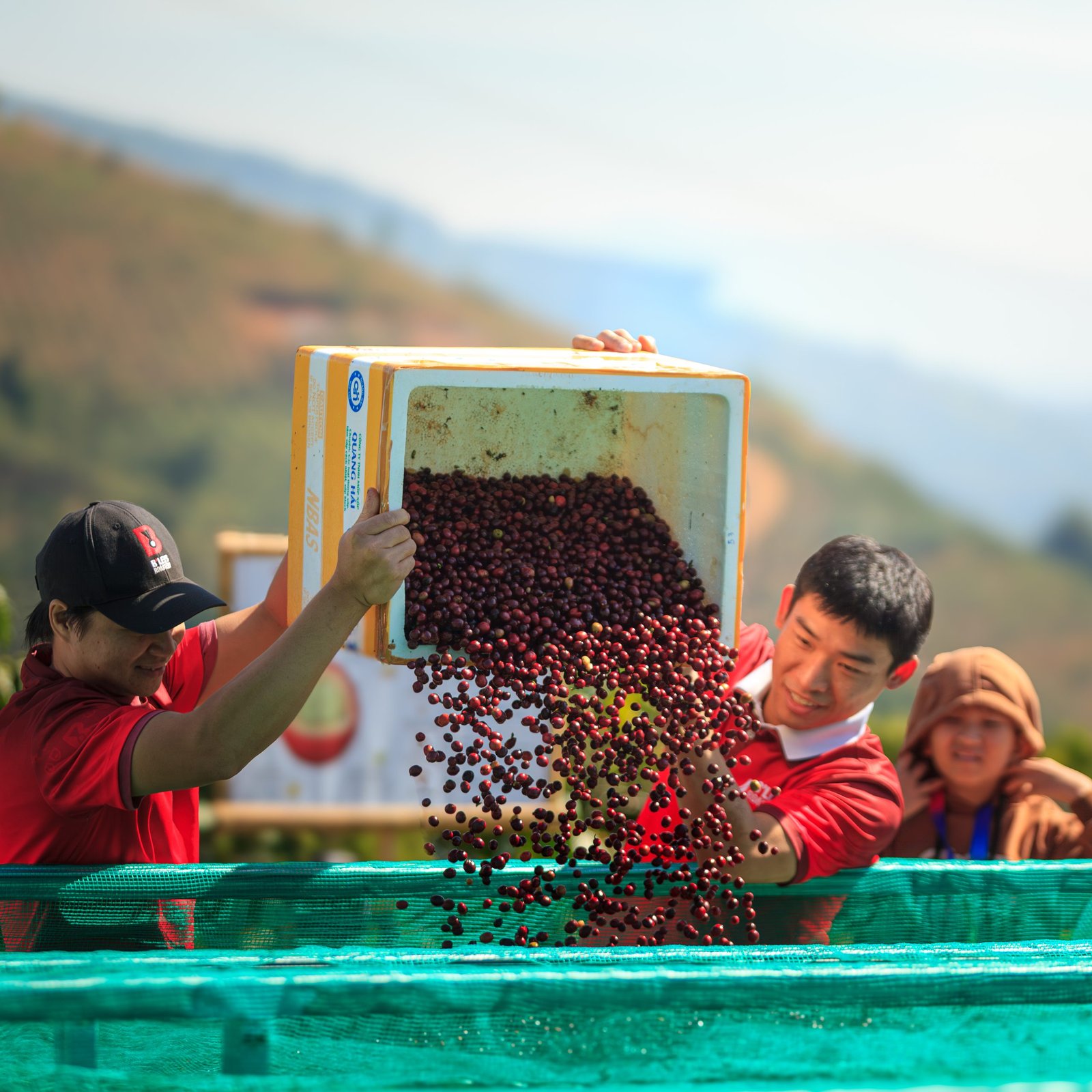 Day 3: Be a one-day Coffee Farmer – Fishing Activities