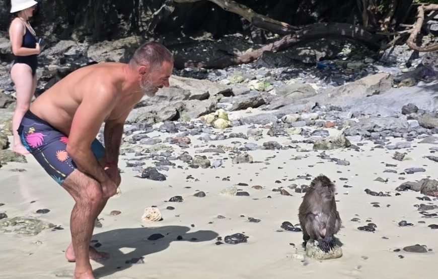 Phi Phi Island Private Long Tail Boat