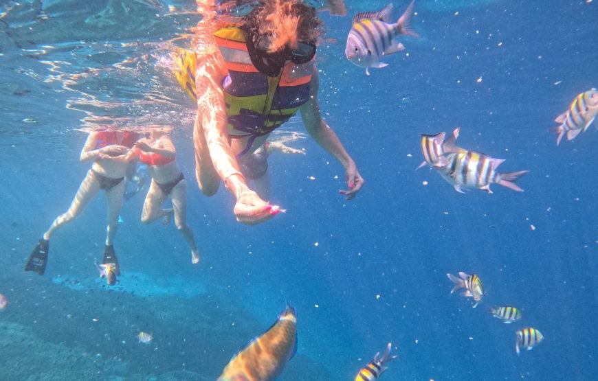 Lombok Private Snorkeling Tour to a Secret Island