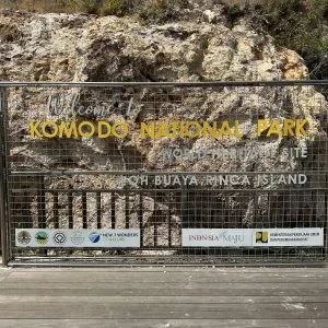 Labuan Bajo in a Day: 6 Must-See Wonders