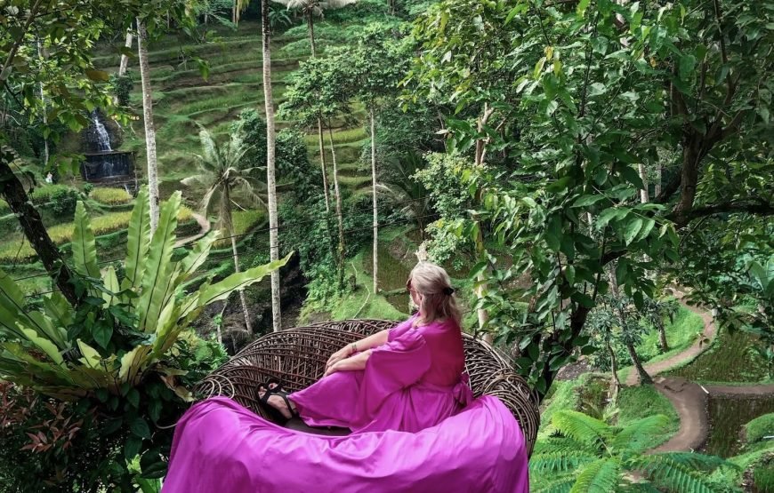 Bali : Tour Ubud With Tirta Empul, Rice Terrace & Waterfall