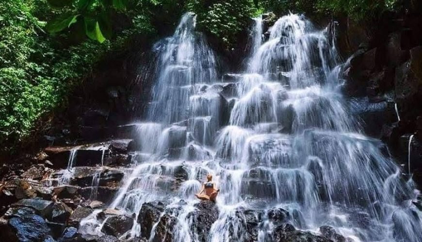 Bali : Tour Ubud With Tirta Empul, Rice Terrace & Waterfall