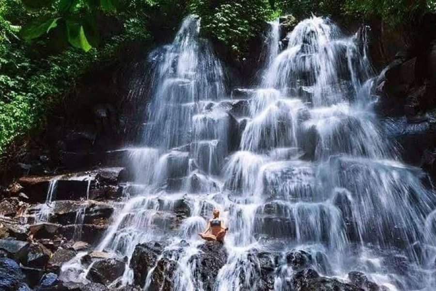 Bali : Tour Ubud With Tirta Empul, Rice Terrace & Waterfall