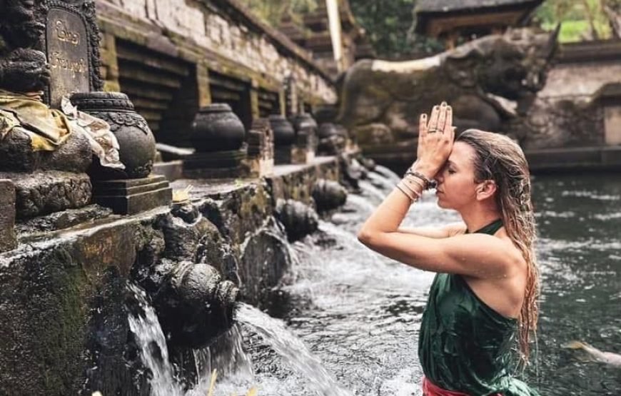 Bali : Tour Ubud With Tirta Empul, Rice Terrace & Waterfall