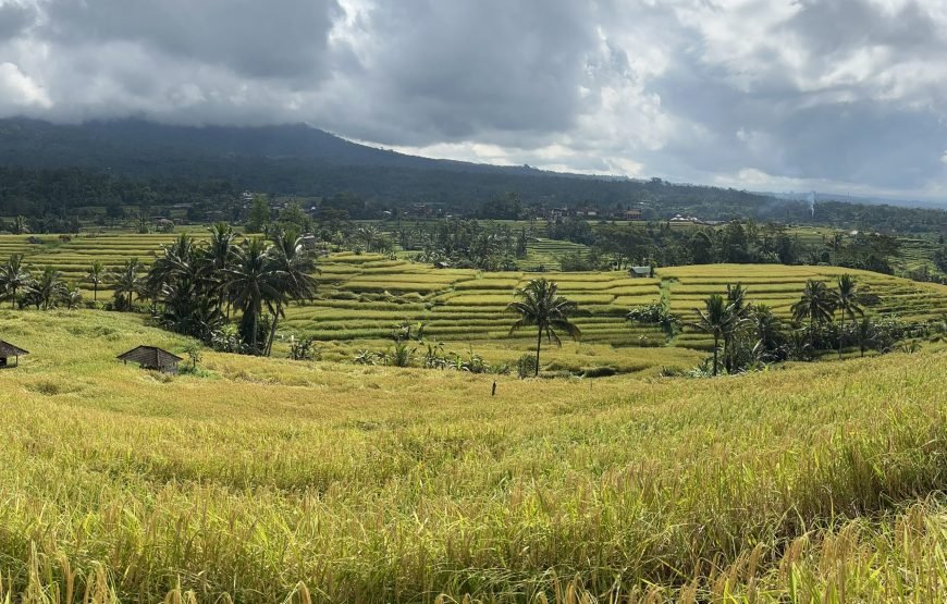 Epic 22 Days North Sumatra-Java-Bali Adventure