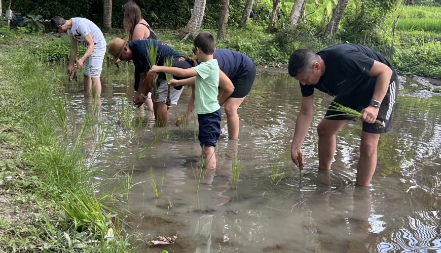 Immersion in Balinese Life