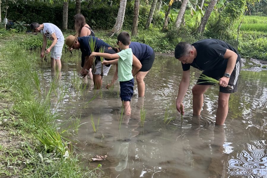 Immersion in Balinese Life