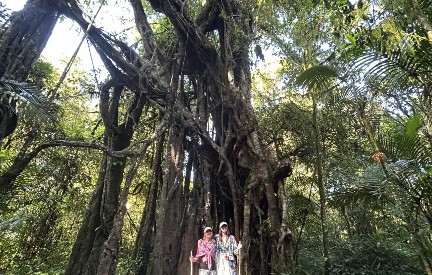 10 Days Bali Tour Package – Culture, Nature, Adventure & Beach Escape