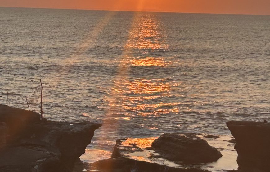 Immersion in Balinese Life