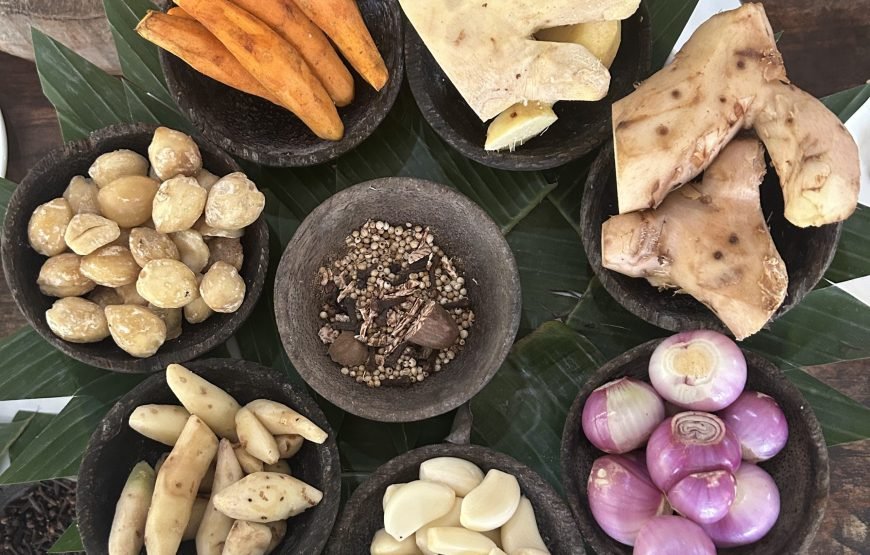 Immersion in Balinese Life