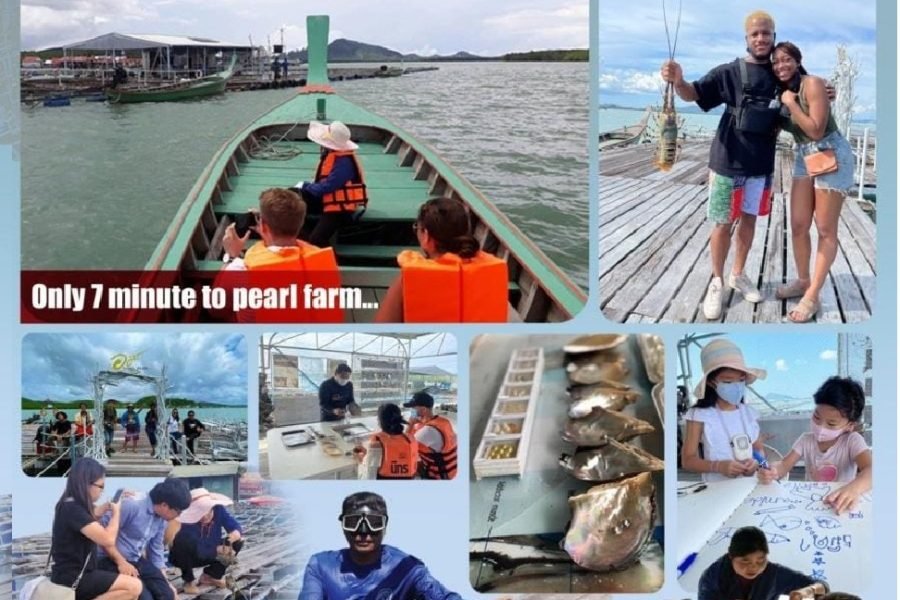 Phuket Pearl Farm Learning Tour