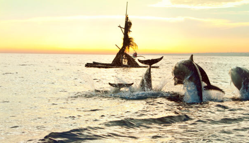 Northern Wonders Dolphin Watching & Highland Serenity