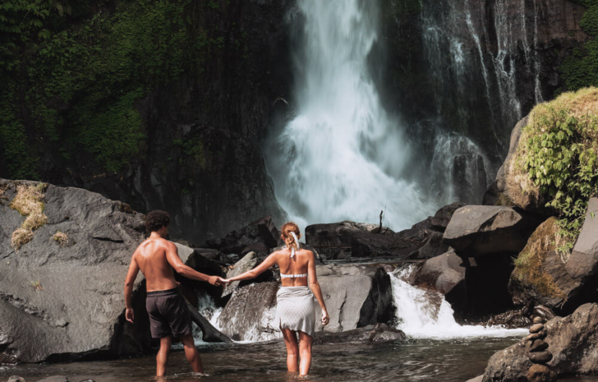 Northern Wonders Dolphin Watching & Highland Serenity