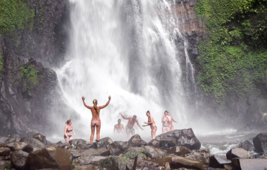 Northern Wonders Dolphin Watching & Highland Serenity