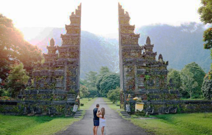 Northern Wonders Dolphin Watching & Highland Serenity