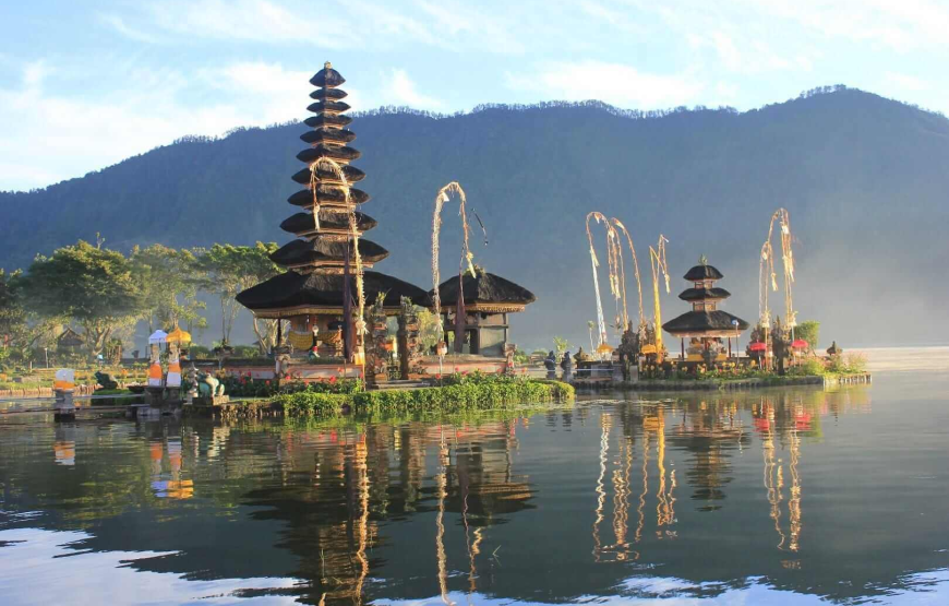 Northern Wonders Dolphin Watching & Highland Serenity