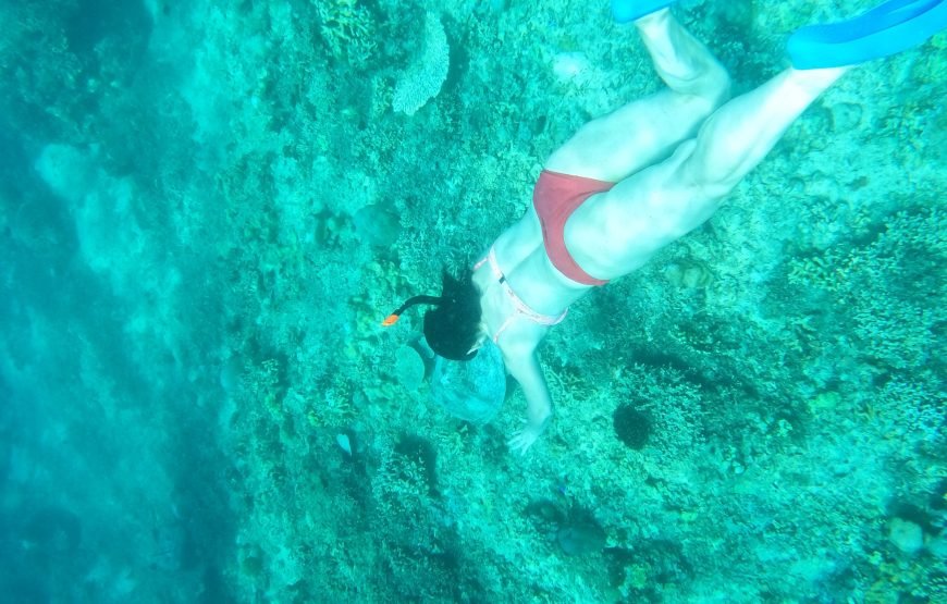 Private Snorkeling Trip to The Hidden Gilis