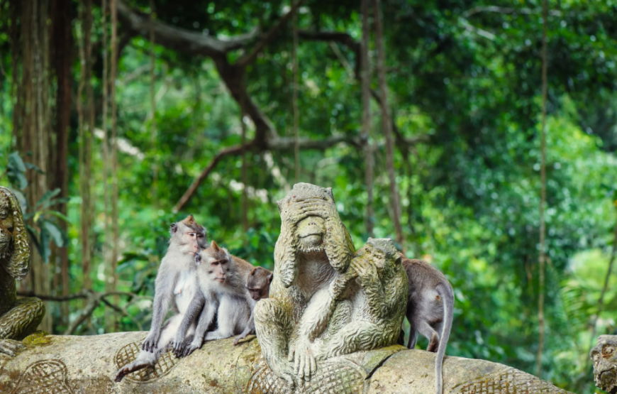 Bali In Touch: 6D5N Cultural & Adventure Escape