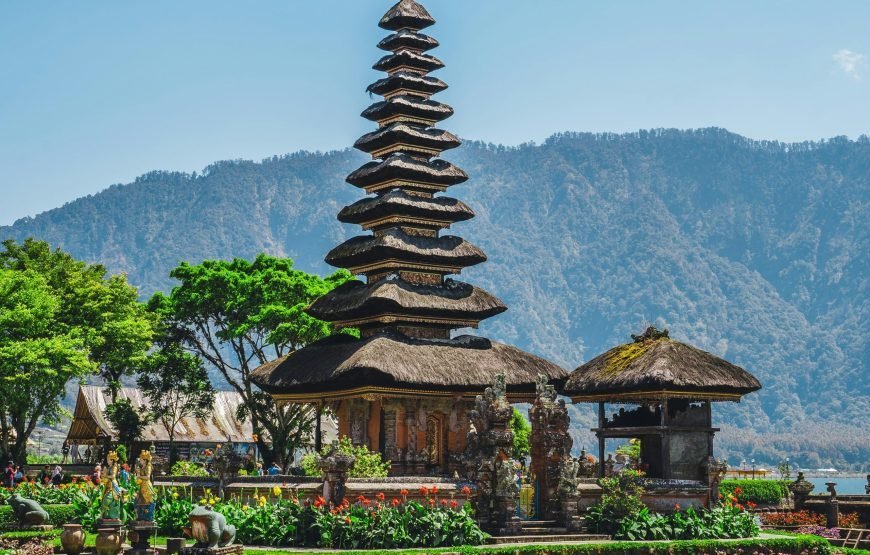 Northern Wonders Dolphin Watching & Highland Serenity