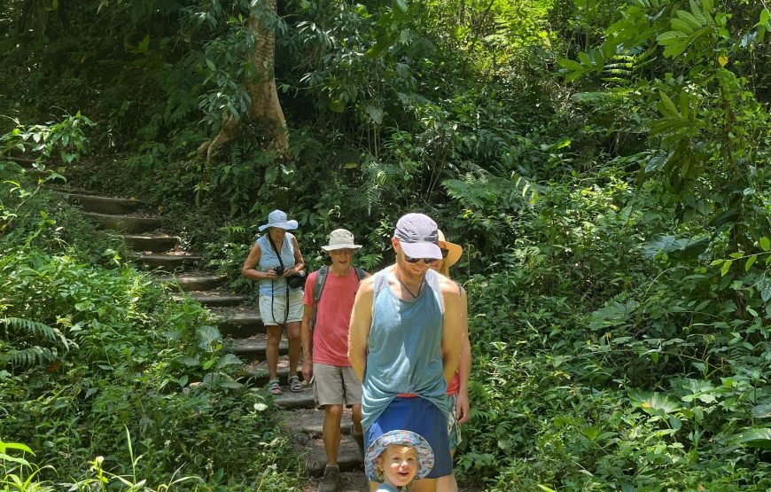 Walking on Rice Terrace and Explore Benang Setokel & Kelambu Waterfalls