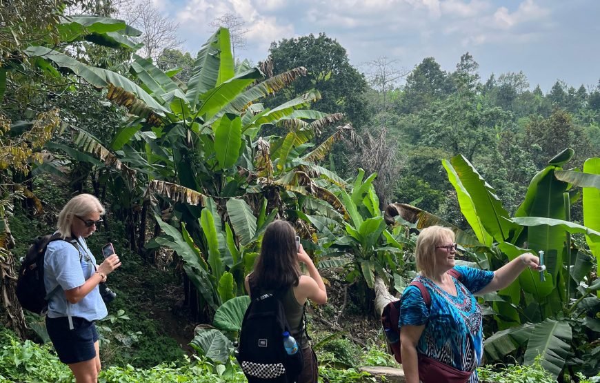 Walking on Rice Terrace and Explore Benang Setokel & Kelambu Waterfalls