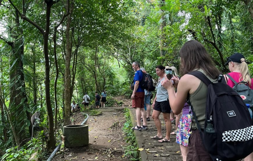 Walking on Rice Terrace and Explore Benang Setokel & Kelambu Waterfalls