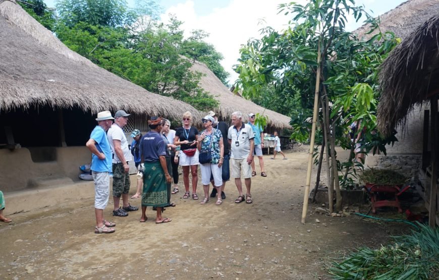 Discover The Culture and Coast of Southern Lombok