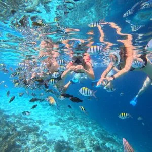 Private Snorkeling and Island Hopping to Gili Nanggu, Gili Sudak & Gili Kedis