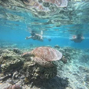 Private Snorkeling Trip to The Hidden Gilis