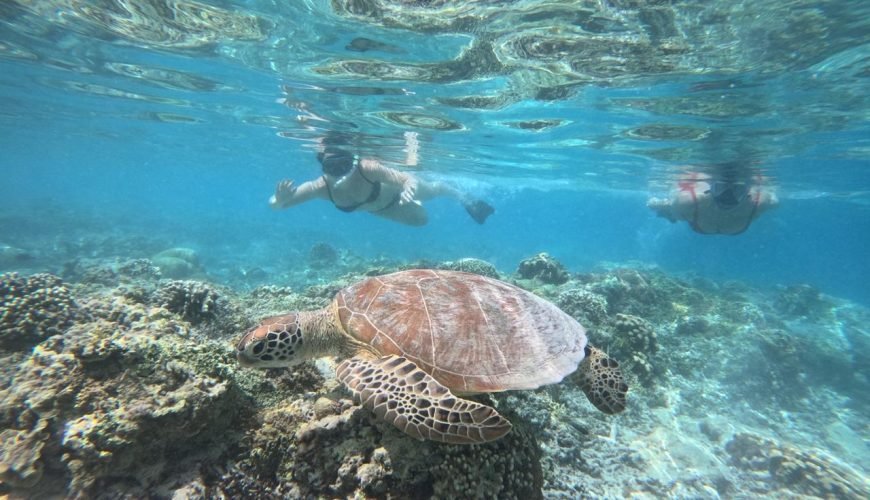 Private Snorkeling Trip to The Hidden Gilis