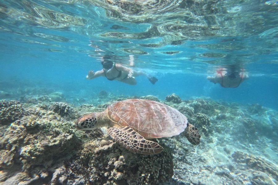 Private Snorkeling Trip to The Hidden Gilis
