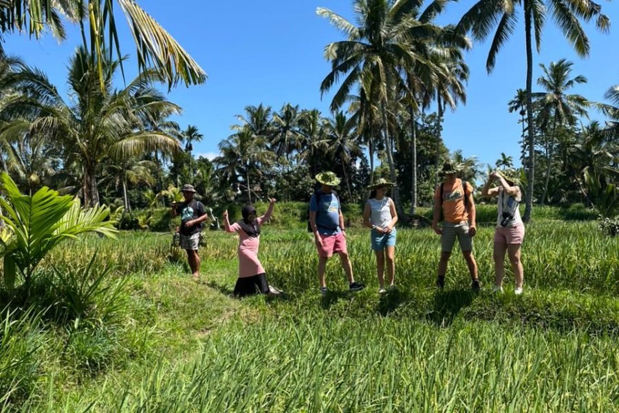 Walking on Rice Terrace and Explore Benang Setokel & Kelambu Waterfalls