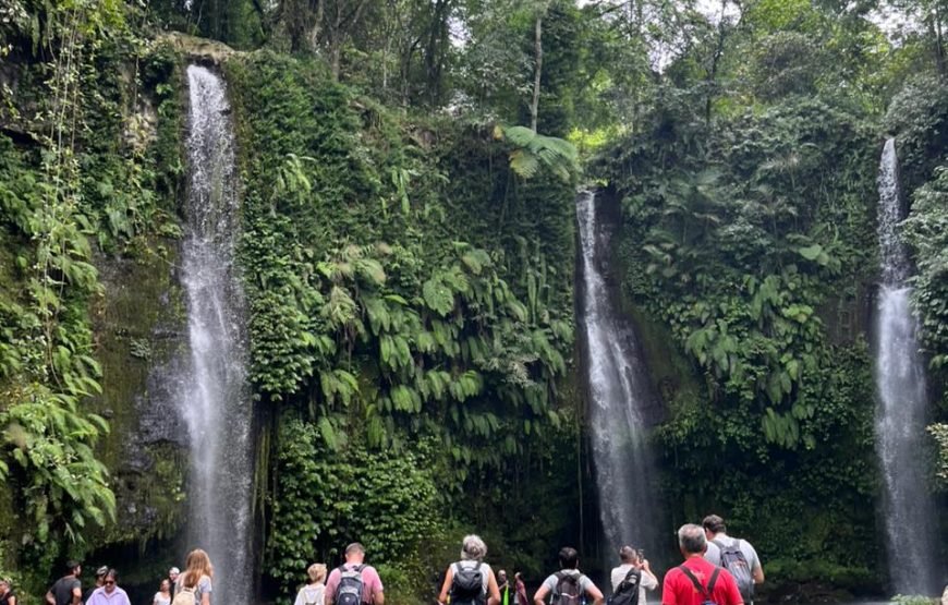 Walking on Rice Terrace and Explore Benang Setokel & Kelambu Waterfalls