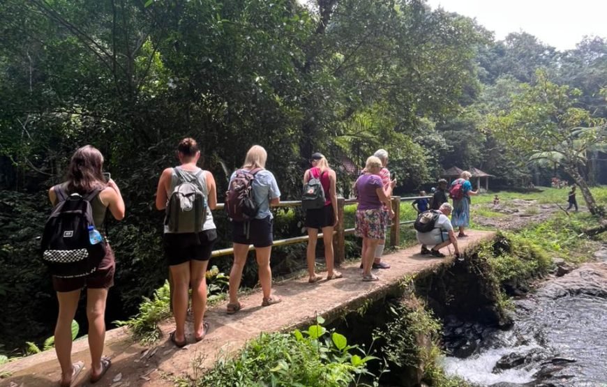 Walking on Rice Terrace and Explore Benang Setokel & Kelambu Waterfalls