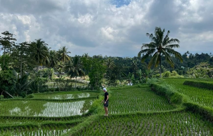 Walking on Rice Terrace and Explore Benang Setokel & Kelambu Waterfalls
