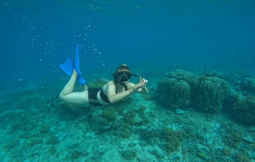 Private Snorkeling Trip to The Three Famous Gilis (Trawangan, Meno & Air)