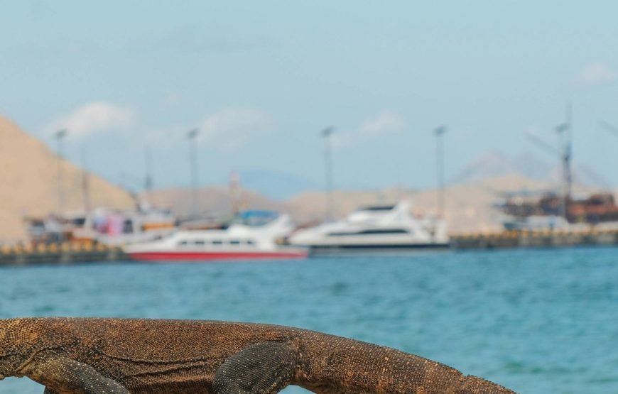 Labuan Bajo in a Day: 6 Must-See Wonders