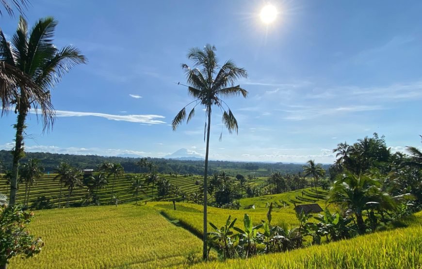 10 Days Bali Tour Package – Culture, Nature, Adventure & Beach Escape