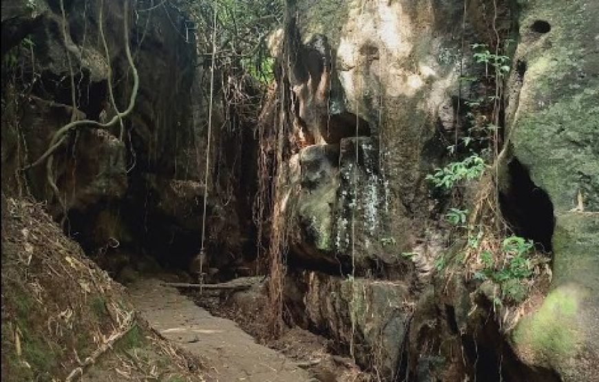 Bali In Touch: 6D5N Cultural & Adventure Escape